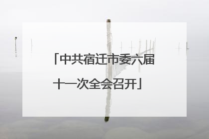 中共宿迁市委六届十一次全会召开